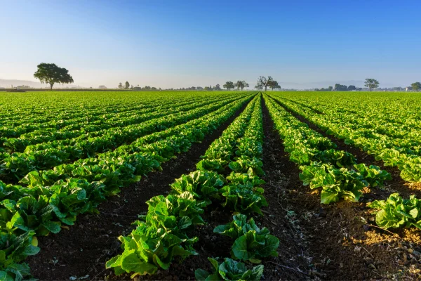 admission in B Sc Agriculture